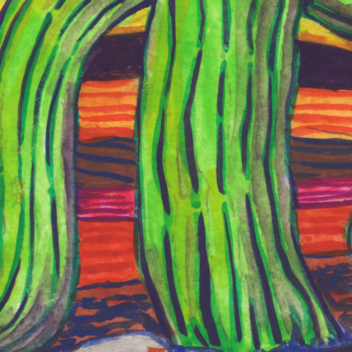 Detail of a cactus plant illustration